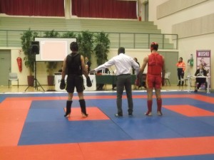 hunggarnancy-artsmartiaux-wushu-kungfu-sanda-17janvier2016-49                       